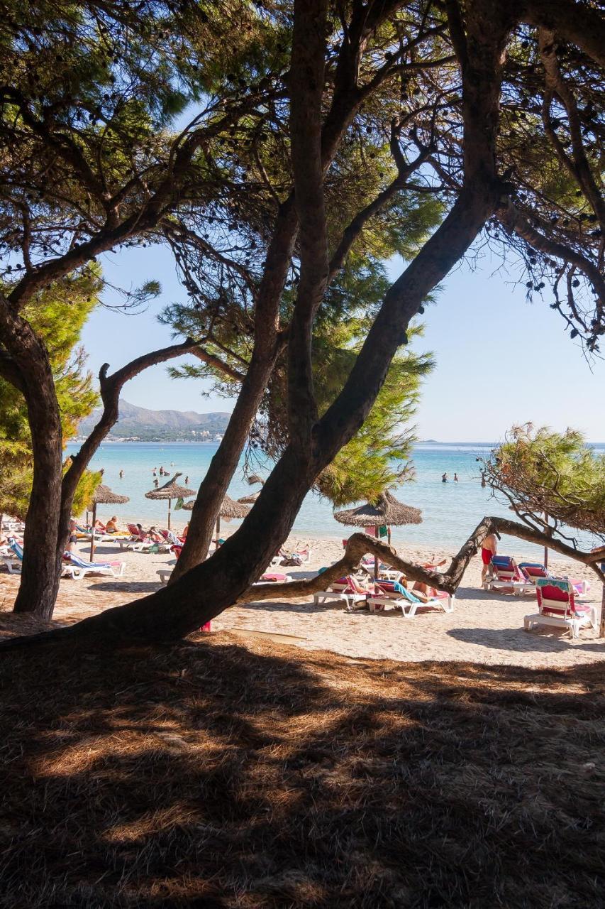 Lägenhet Alarden Port de Alcudia (Mallorca)